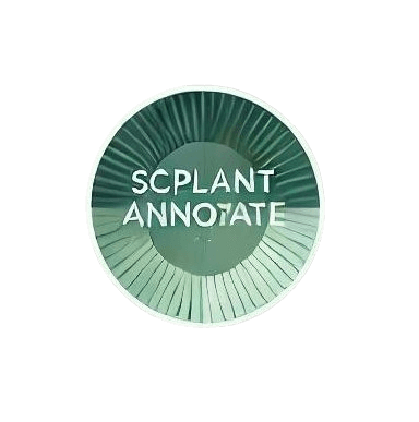 scPlantAnnotate