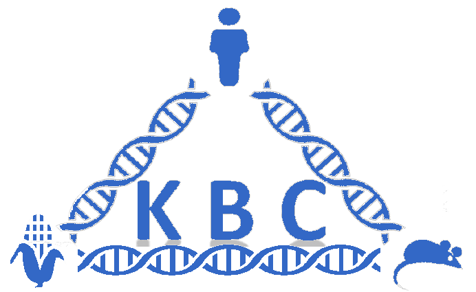 KBCommons